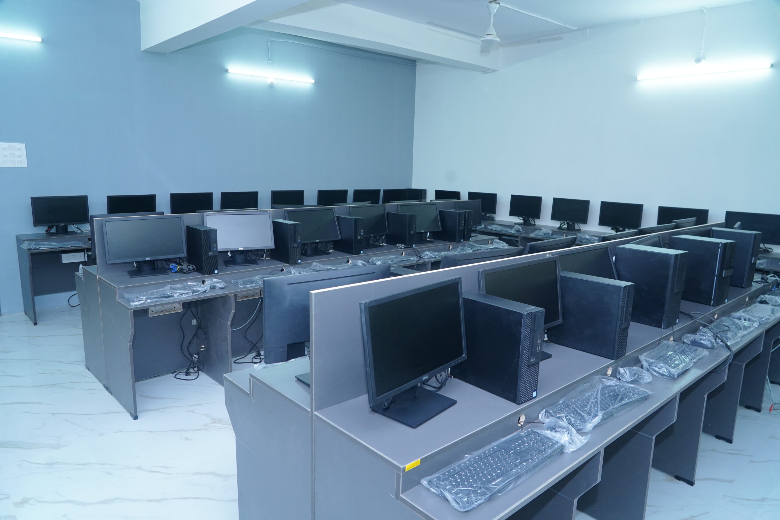 lab